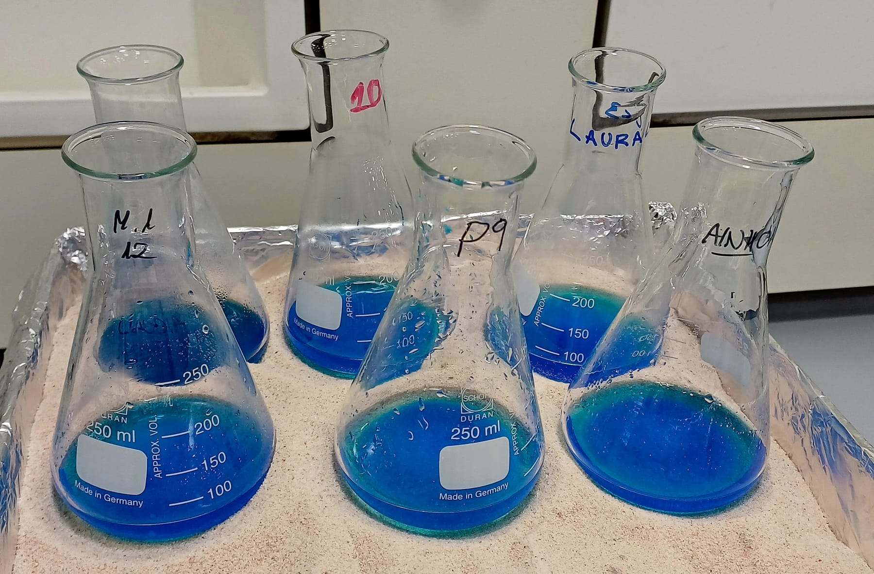 Erlenmeyerkolben mit blauer Lösung im Labor